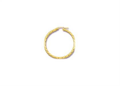 Gold Plated | Fashion Earrings